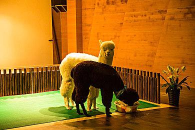 《Apex英雄》联动太鼓乐团宣传片 别有一番气势